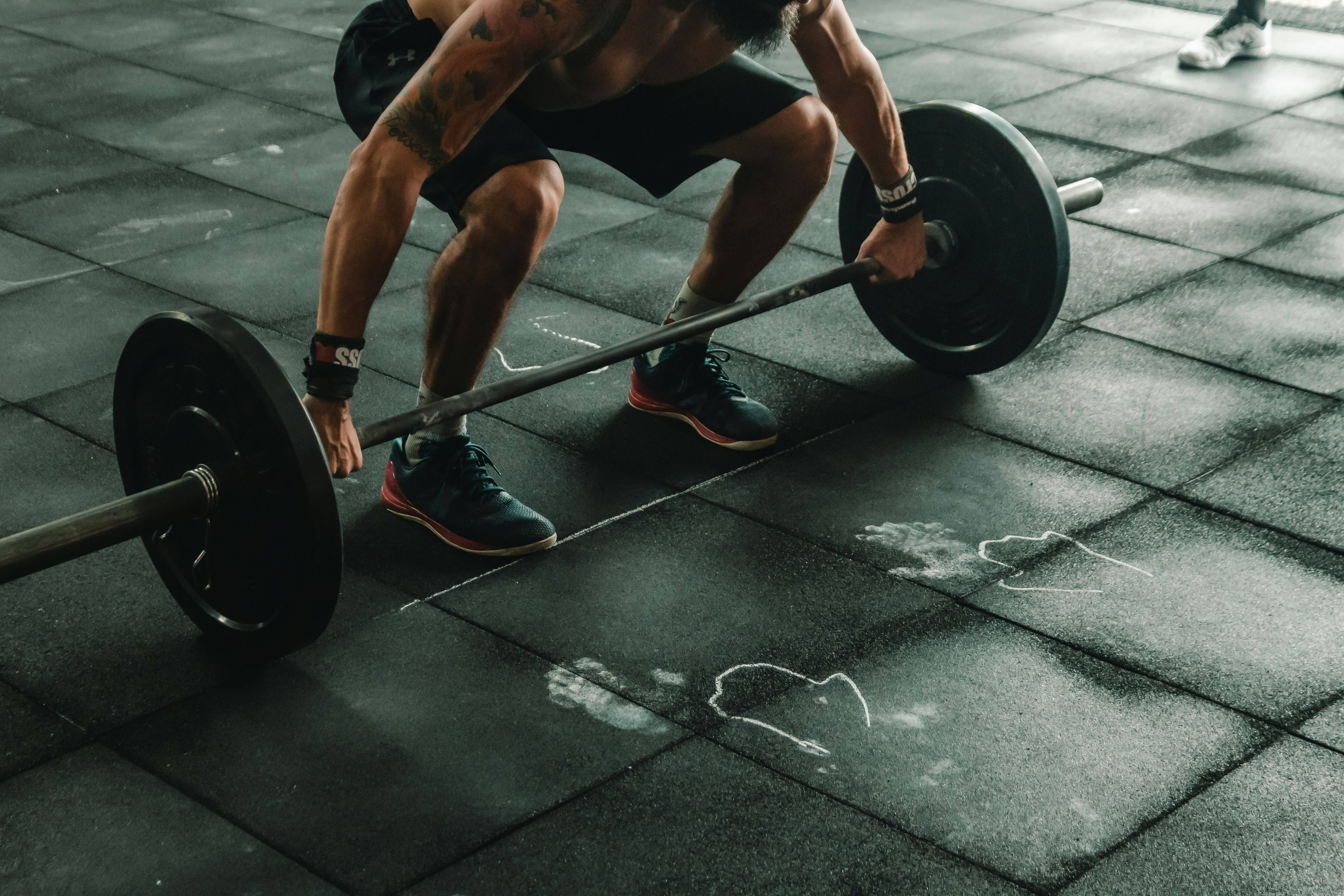 Premium home workout equipment including dumbbells, treadmills and exercise bikes